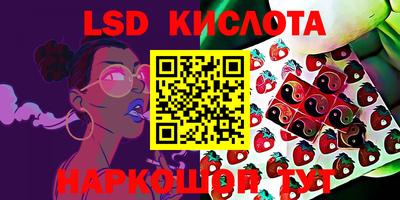 a pvp Шелехов